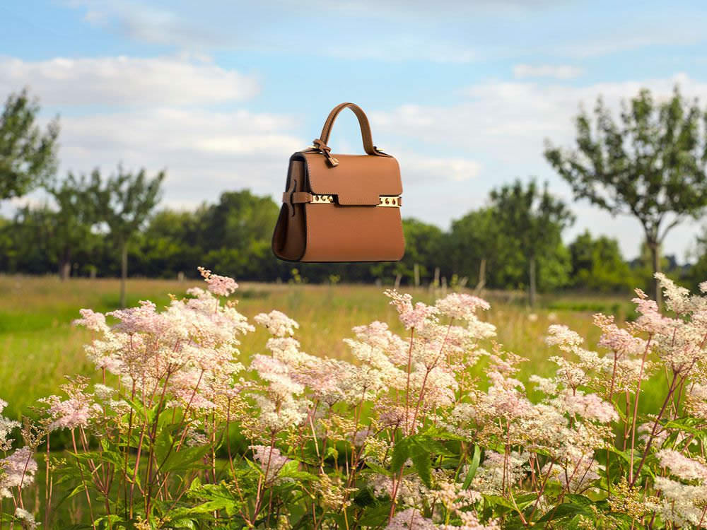 delvaux tempete brown