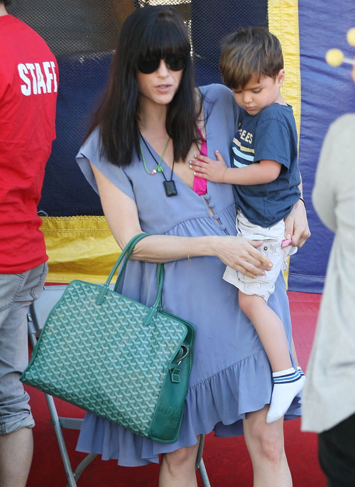 Selma Blair carrying a green Goyard handbag at the Famers Market Featuring:  Selma Blair Where: Los Angeles, California, United States When: 25 Jan 2015  Credit: WENN.com Stock Photo - Alamy