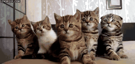 Image via Giphy