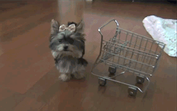 Image via Giphy