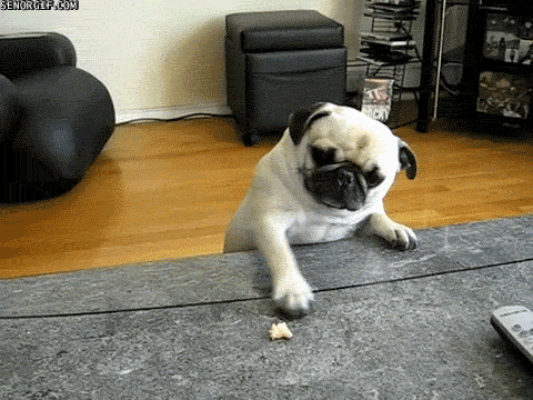 Image via Giphy
