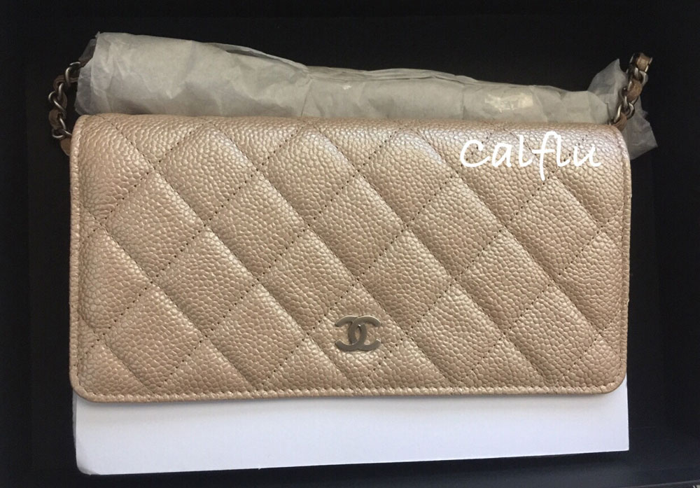 What Fits: Chanel WOC (Wallet On Chain) Bag - PurseBlog