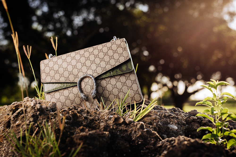 Gucci, Bags, Gucci Dionysus Small Size New 220 Prefall Collection  Pristine Condition