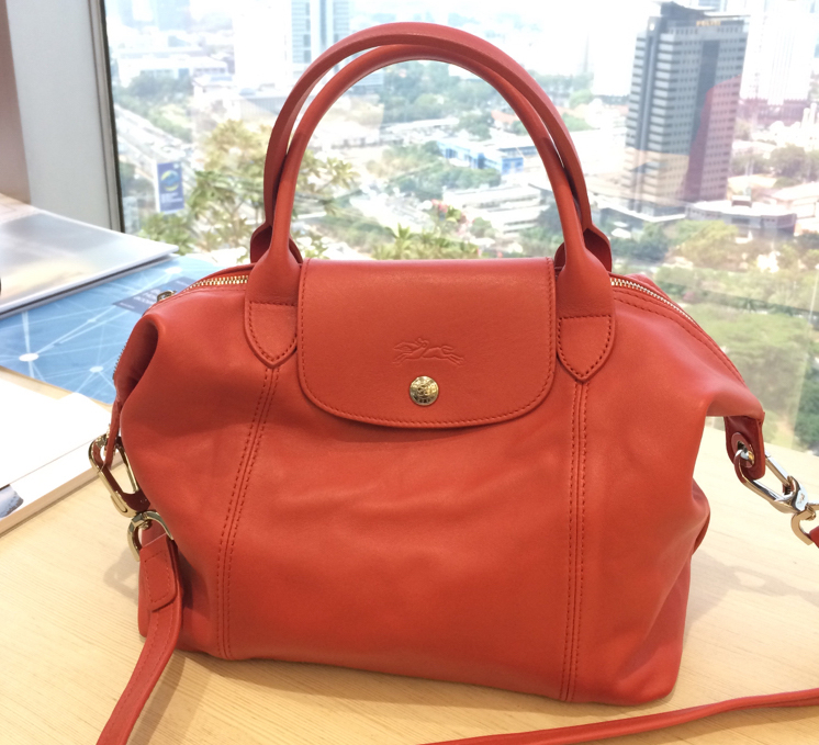 Longchamp-Le-Pliage-Cuir-Bag