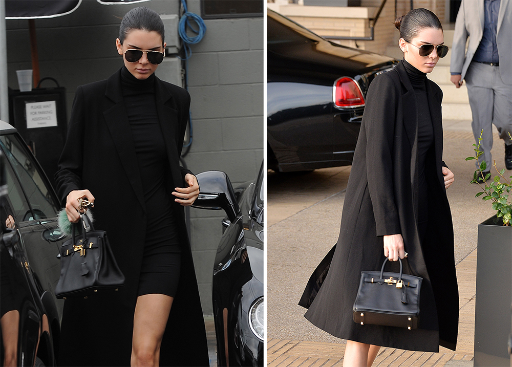 Kendall Jenner's Tiny Hermès Birkin 