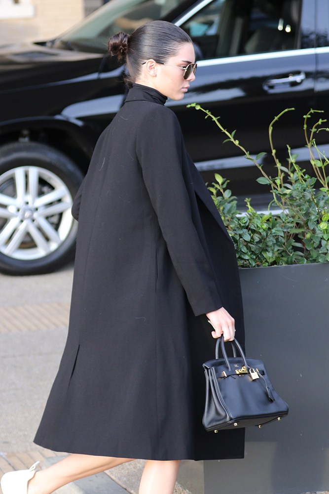 Kendall Jenner's Tiny Hermès Birkin 