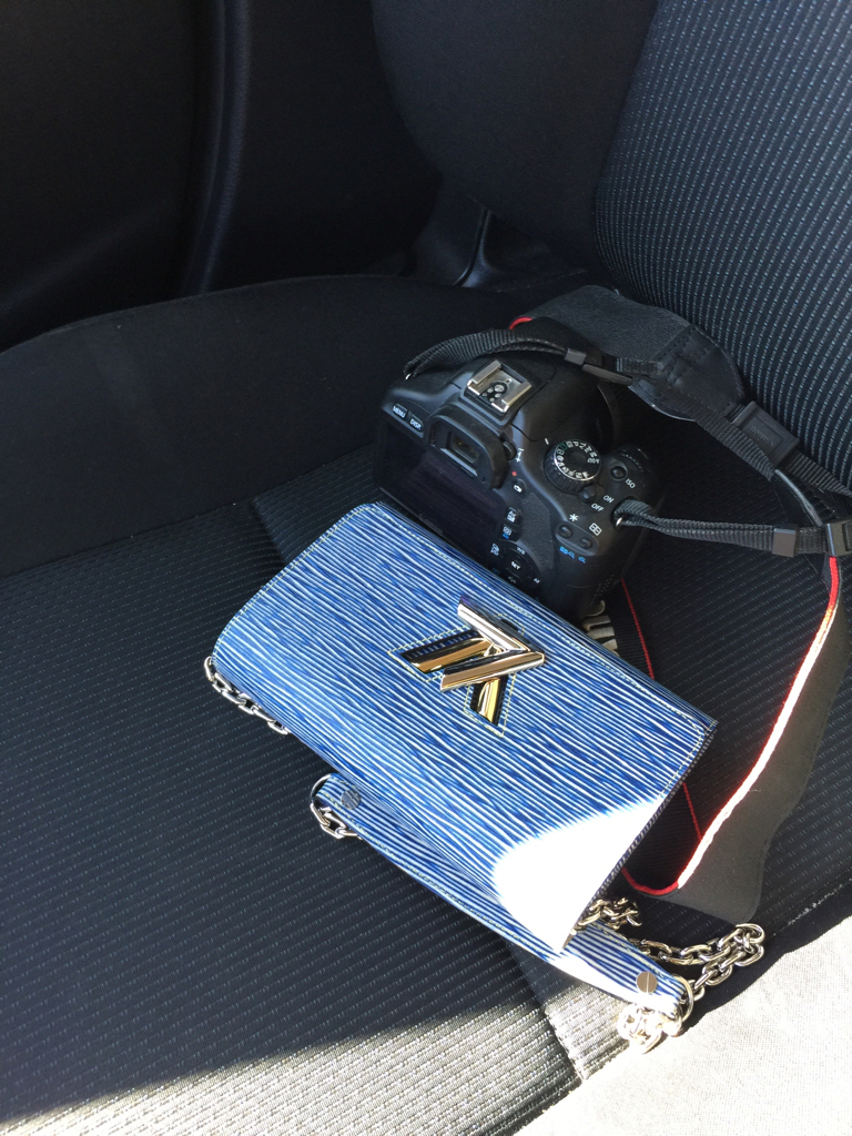 Riding in Cars with Louis Vuitton: 20+ Pics From One of PurseForum's Most  Popular Threads - PurseBlog