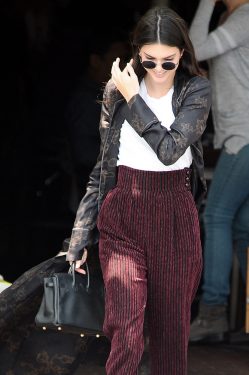 kendall jenner hermes bag