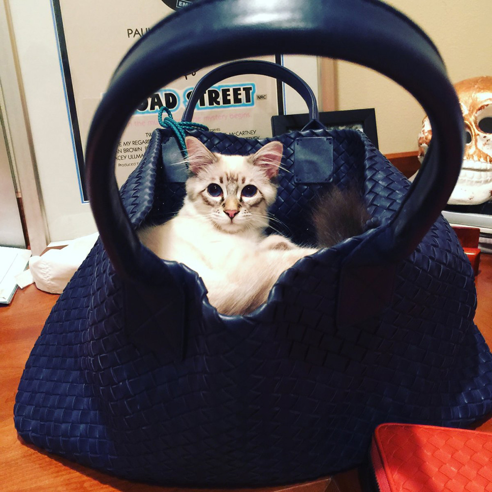 Bottega-Veneta-Tote