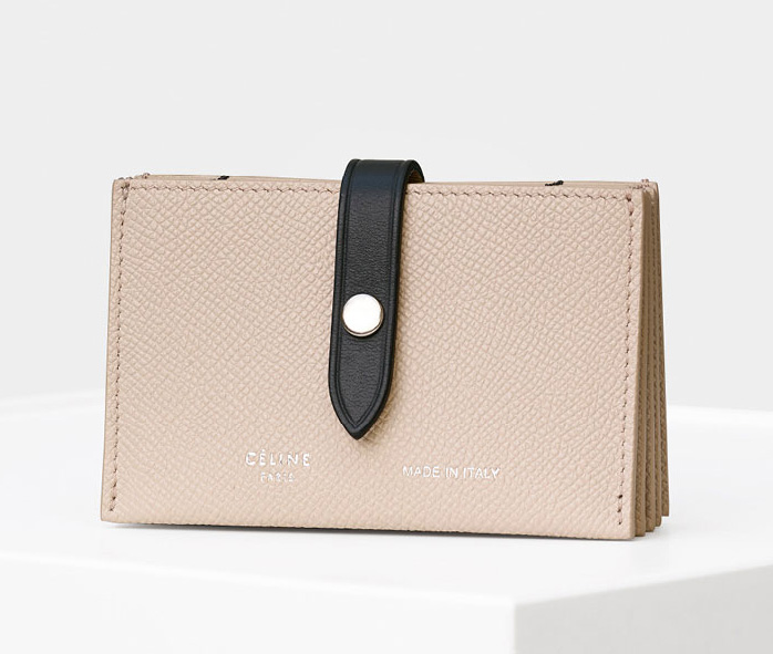 Celine-Strap-Accordeon-Card-Holder-Blush-510