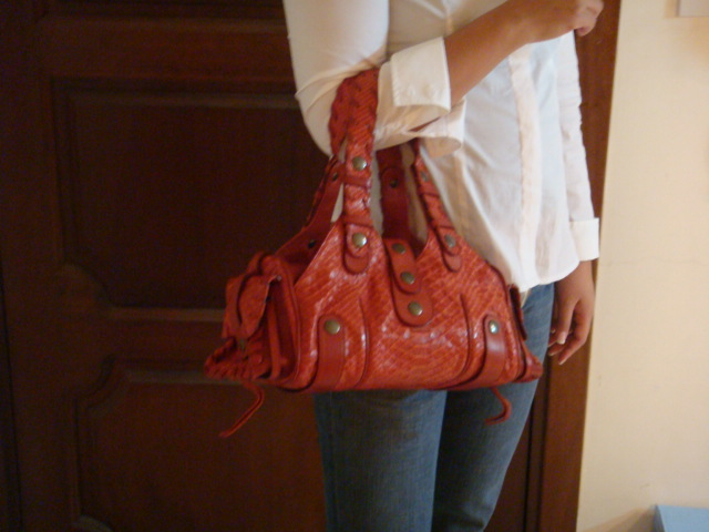 chloe silverado python bag
