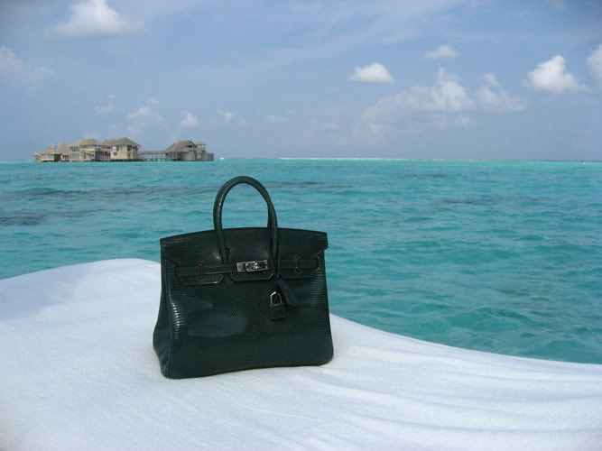 hermes-birkin-lizard