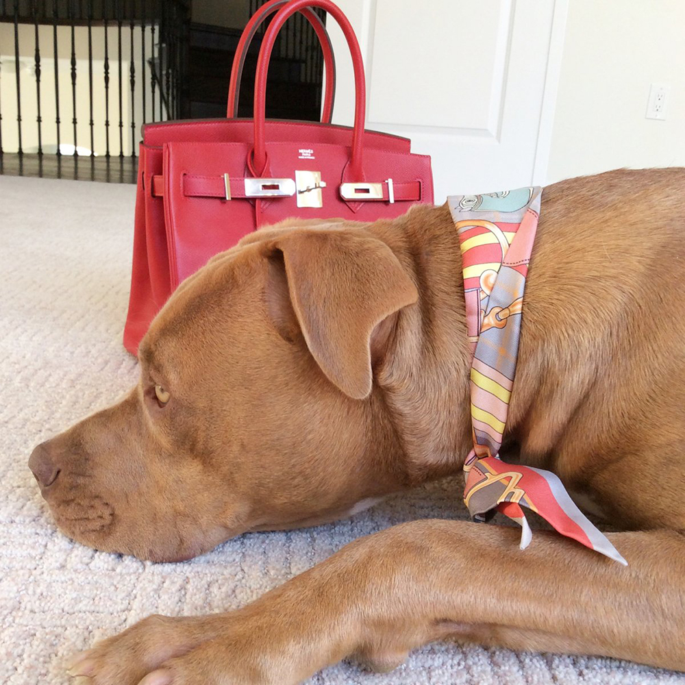 tPF Member: Rami00 Bag: Hermès Birkin Scarf: Hermès Silk Twilly