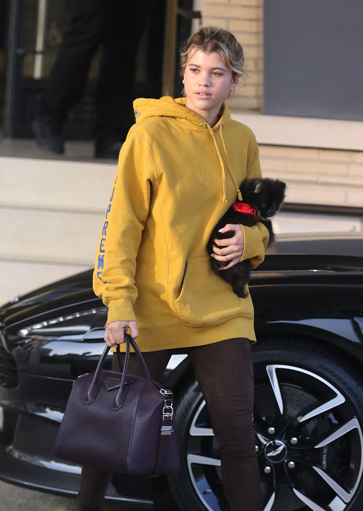 Celebs Holiday Shop While Carrying Bags from Chanel, Céline, and Louis  Vuitton - PurseBlog