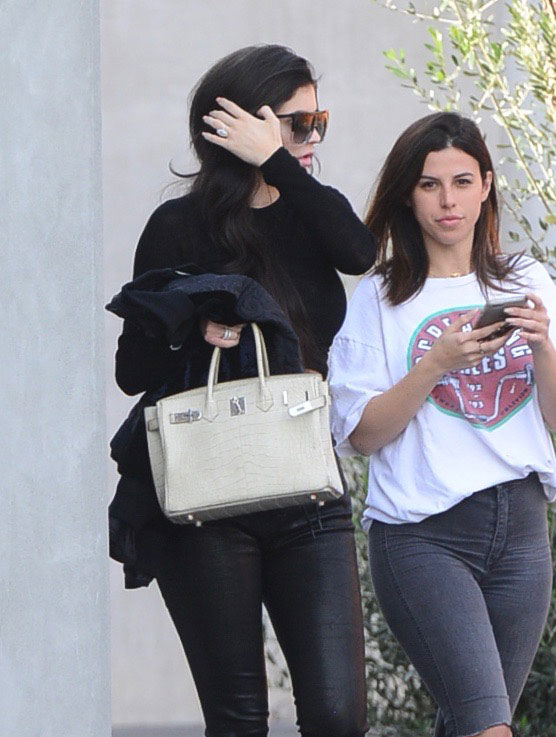 The Many Bags of Kylie and Kendall Jenner - PurseBlog  Kendall jenner,  Celebrity handbags, Stylish celebrities