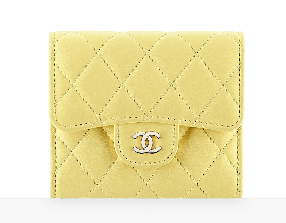45 Pics + Prices of Chanel's Spring 2017 Wallets, WOCs and