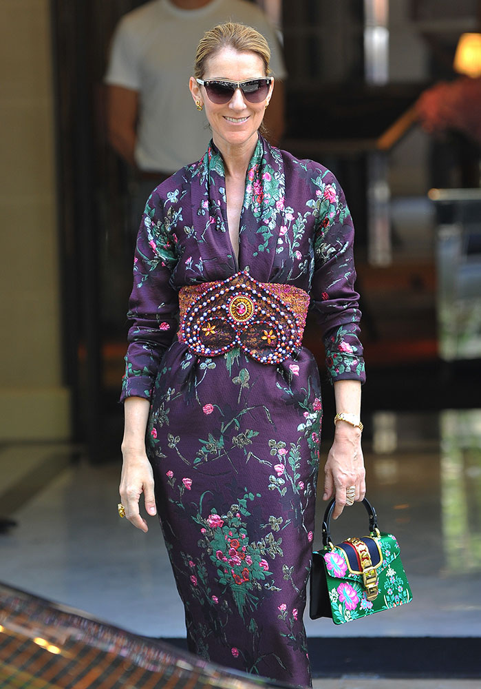 Céline Dion and Her Bags are Having More Fun in France Than Anyone