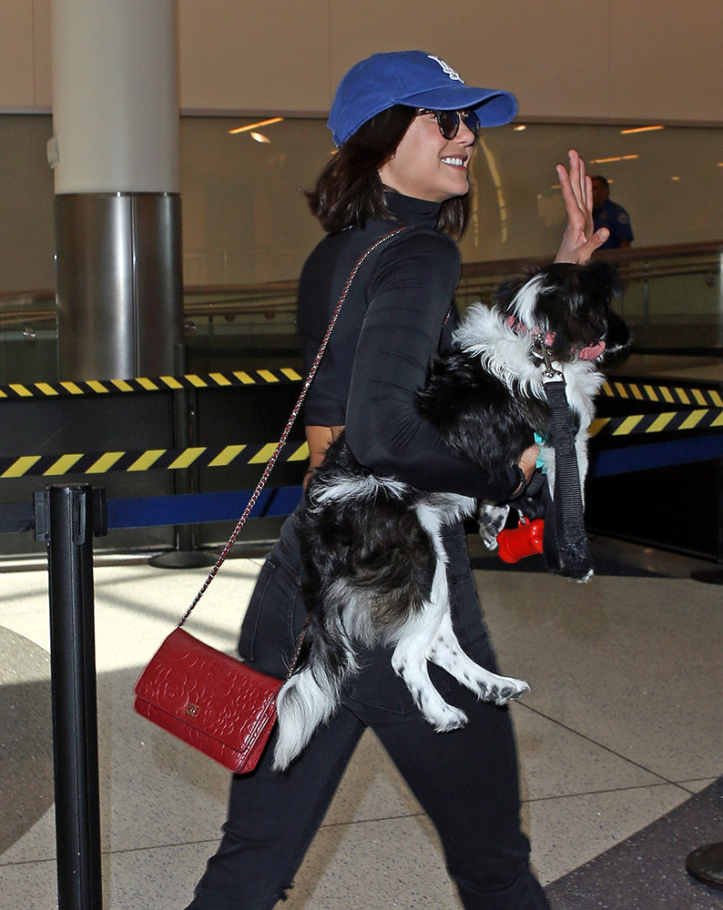 This Time, It's Olivia Munn's Pup That Makes an Appearance in This Round of Celebrity  Bags - PurseBlog