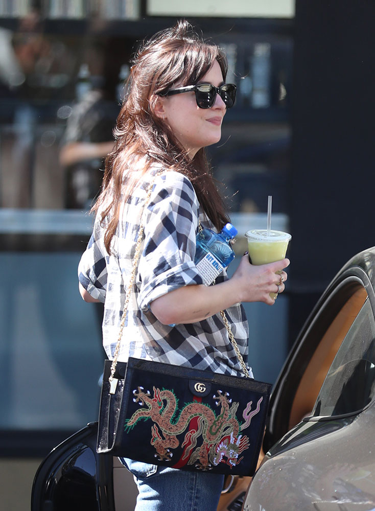 Dakota Johnson With Louis Vuitton's Messenger Bag and Gucci's