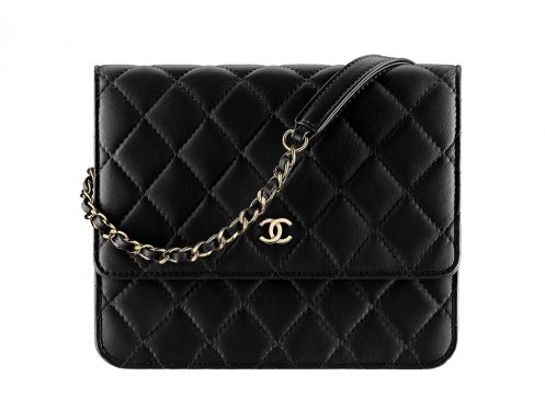 70+ Wallets, WOCs, Accessories from Chanel’s Cruise 2018 Collection ...