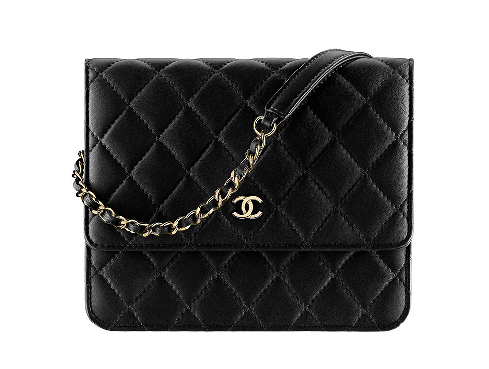 70+ Wallets, WOCs, Accessories from Chanel's Cruise 2018 Collection, All  with Pics and Prices - PurseBlog