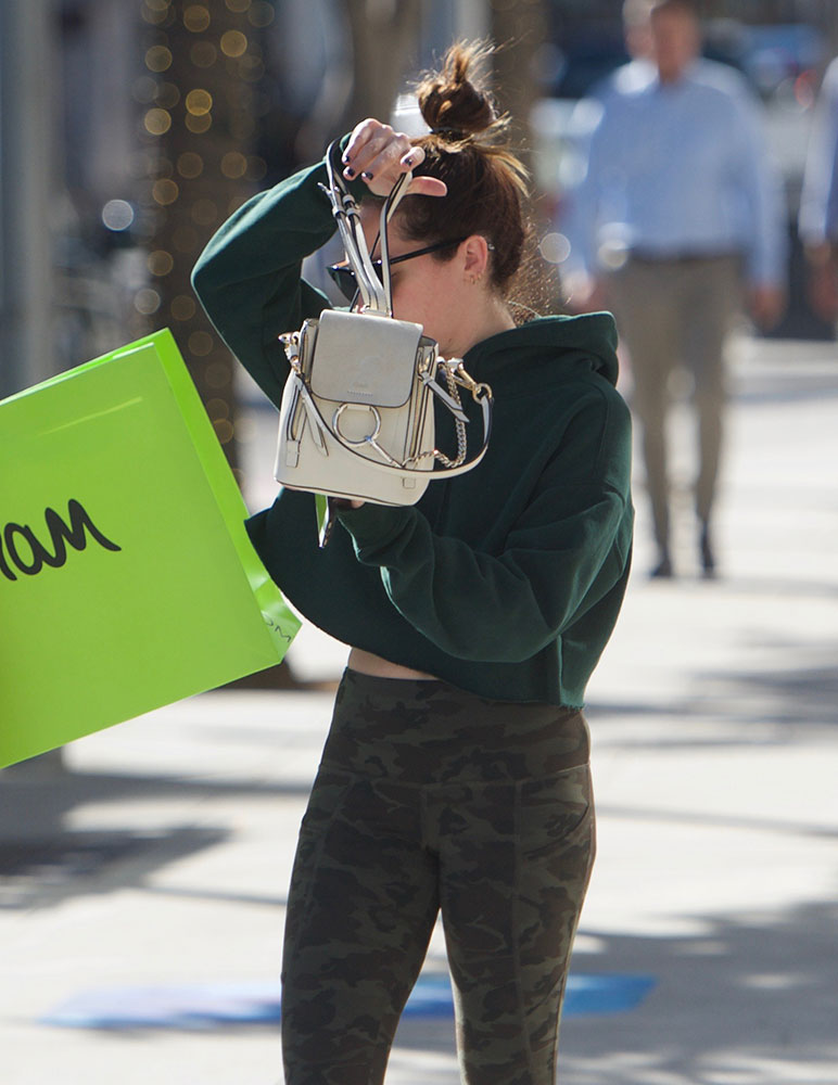 Ashley Tisdale carrying a Louis Vuitton shopping bag while out