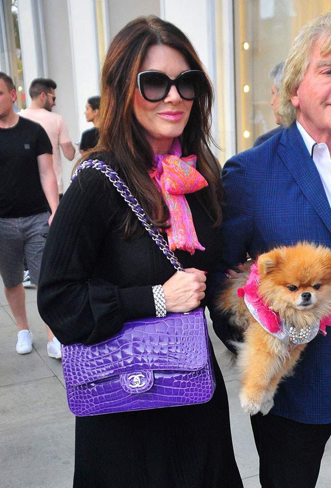 Let's Check In On Lisa Vanderpump's Chanel Bag Collection (and a