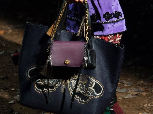 coach fall 2019 handbags