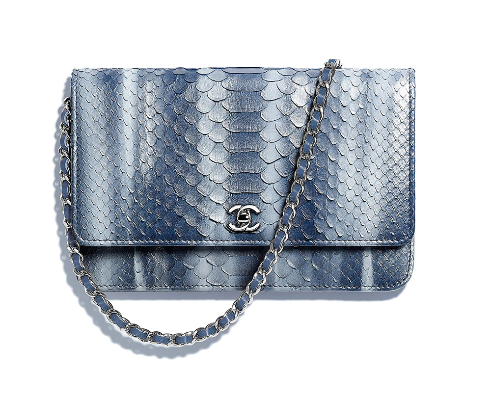 Check Out 70 Chanel Spring 2018 Wallets, iPad Cases, WOCs and