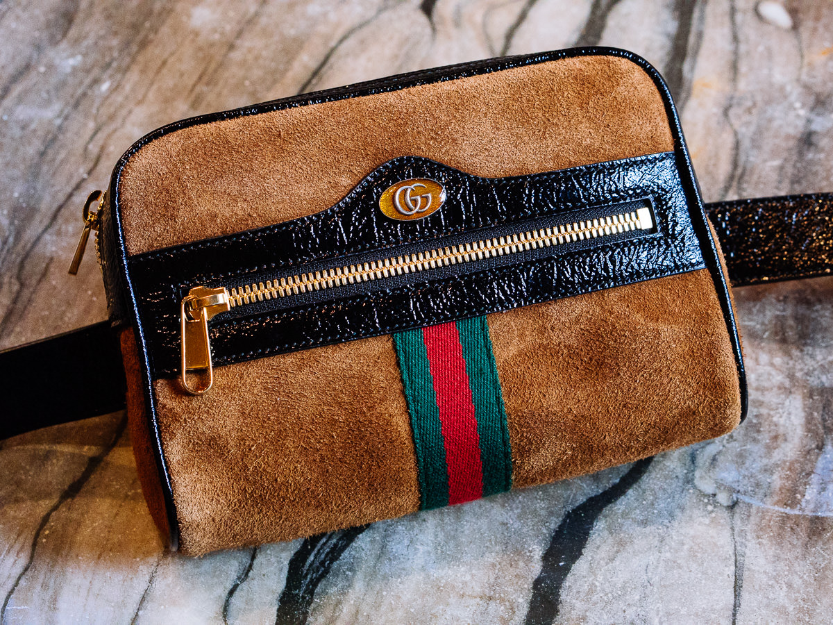 Meet the Gucci Ophidia Belt Bag - PurseBlog