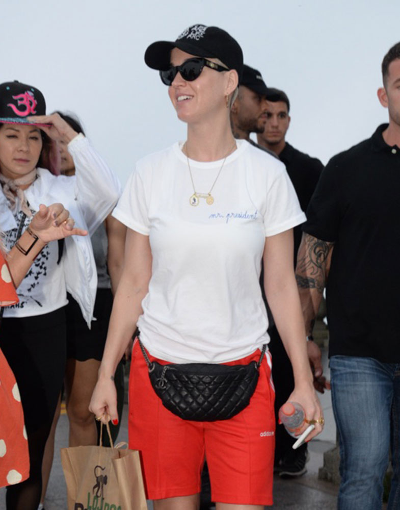 Belt Bag: Celebrities Are Basically Forcing You to Buy a Belt Bag at This  Point