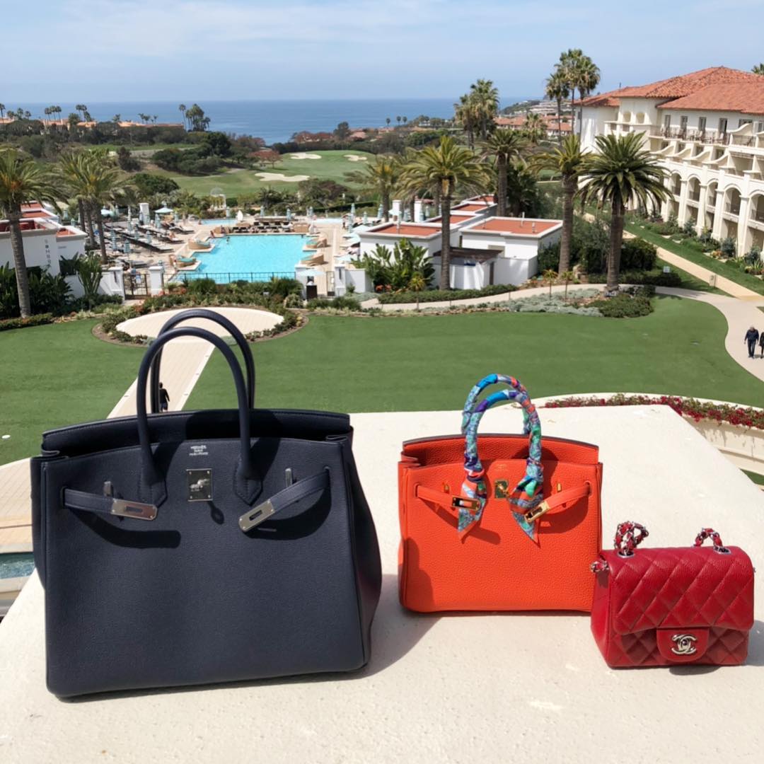 Face-Off: Chanel Jungle Stroll versus Hermes Evelyne - PurseBop