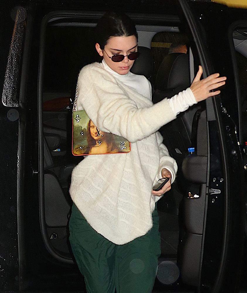 kendall jenner louis vuitton shoulder bag