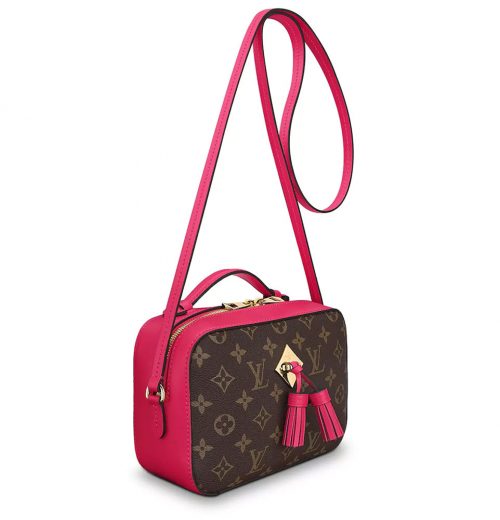 The Louis Vuitton Saintonge Bag is the Brand’s Latest Monogram Hit ...