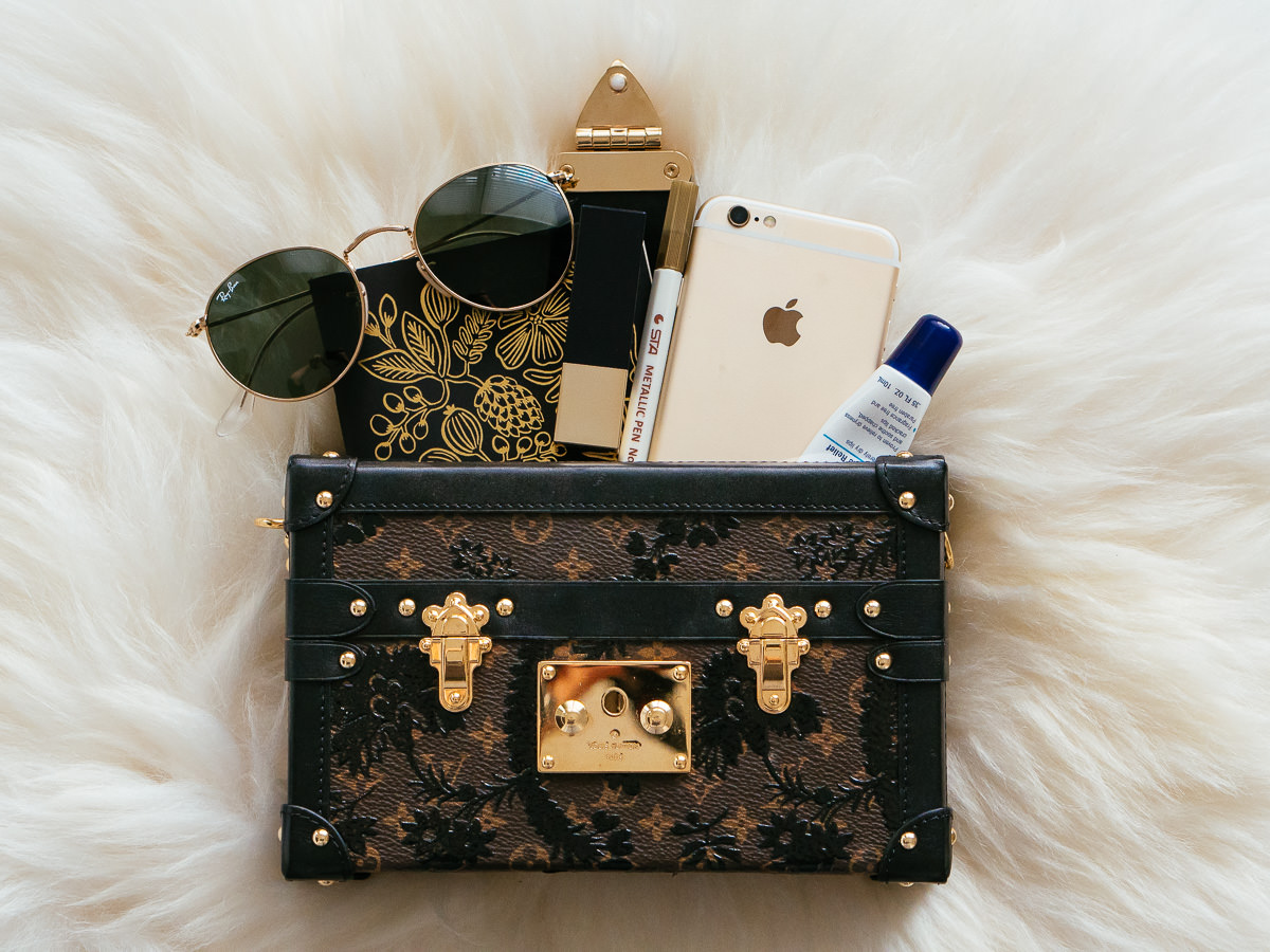 Louis Vuitton Trunk Bag iPhone Case Petit Malle