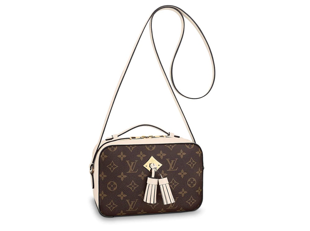 If You Don't Have a Camera Bag in Your Closet, You Need One 8 Louis Vuitton Saintonge Bag