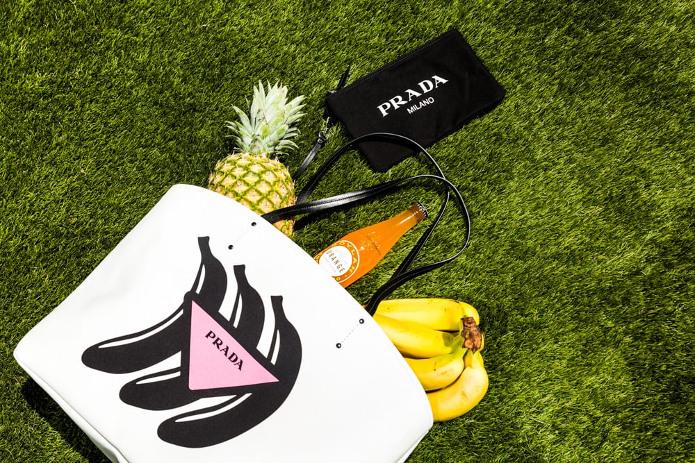 Prada Fall 2018 Bags 6