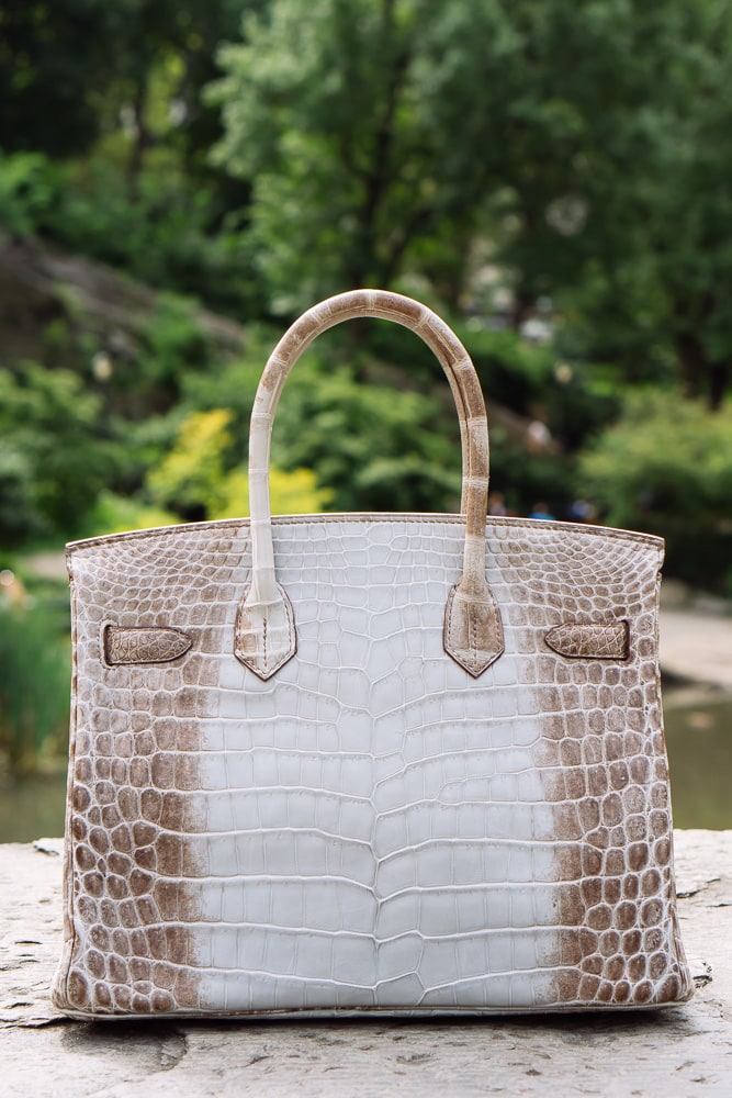 Hermes Gris Cendre Diamond Himalayan Crocodile Birkin - Detail-5 ...