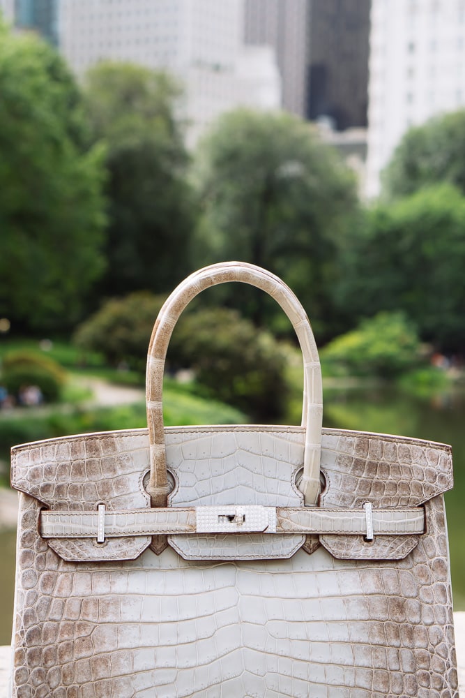 Breaking the $500,000 Mark: A Look at an Extremely Rare Hermès Gris Cendre Diamond  Himalaya Birkin - PurseBlog