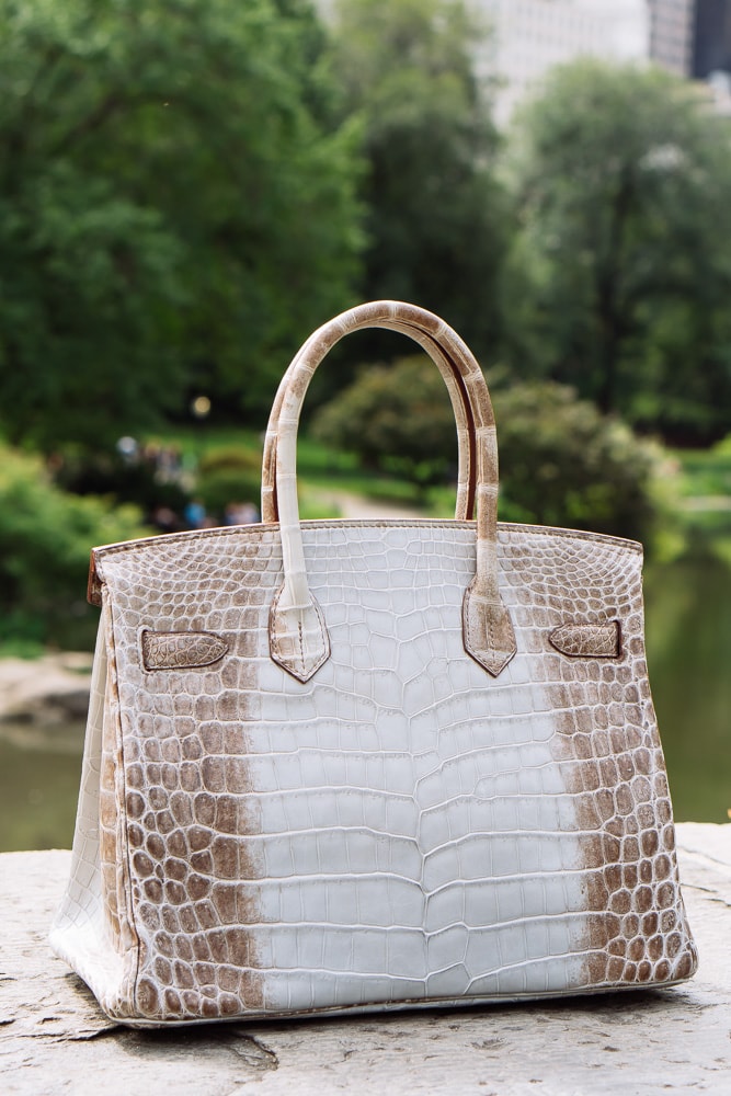 Hermes Blanc Himalayan Himalaya Crocodile Birkin 30 Handbag Bag