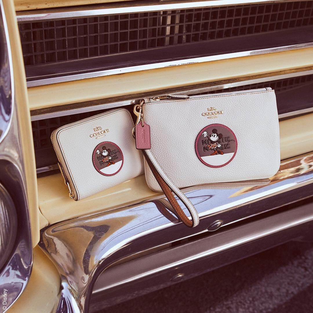 Coach Just Released Another Collaboration With Disney