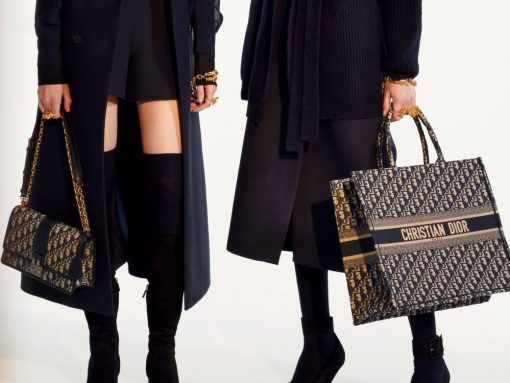Dior Handbags And Purses Purseblog Dior S Pre Fall 2019 Bags Rely Heavily On Its Iconic Logo Detailing