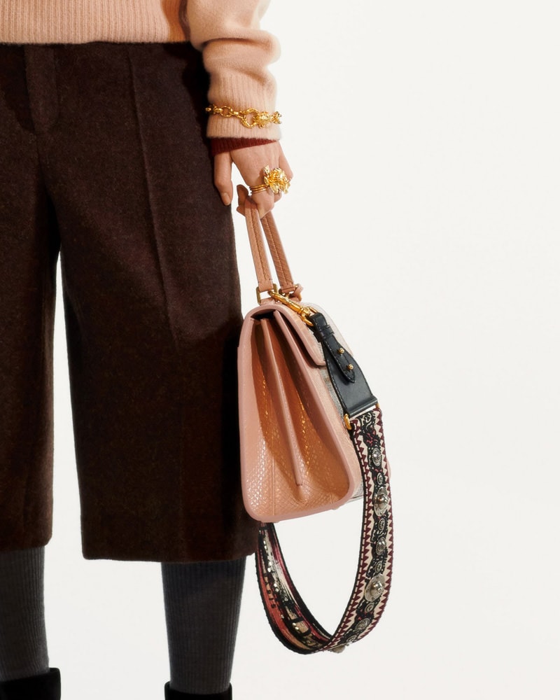 dior saddle bag with guitar strap