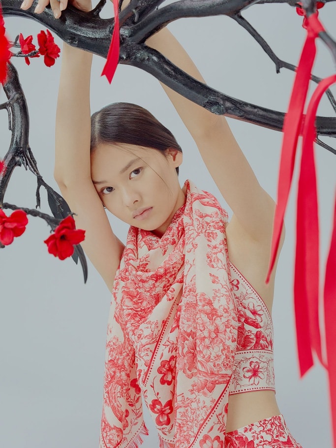 Here's How Celine, Dior and Louis Vuitton Celebrate Chinese New Year