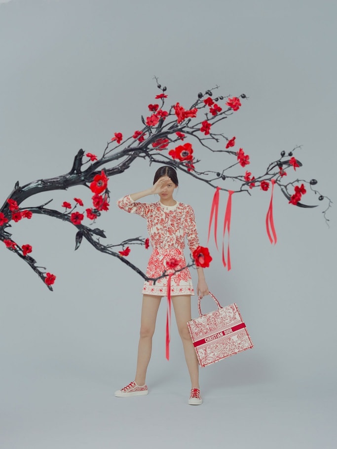 Dior's Newest Bags Celebrate Chinese New Year - PurseBlog