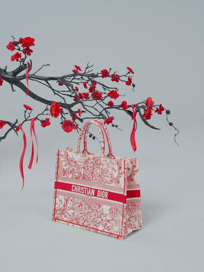 dior lunar new year pouch