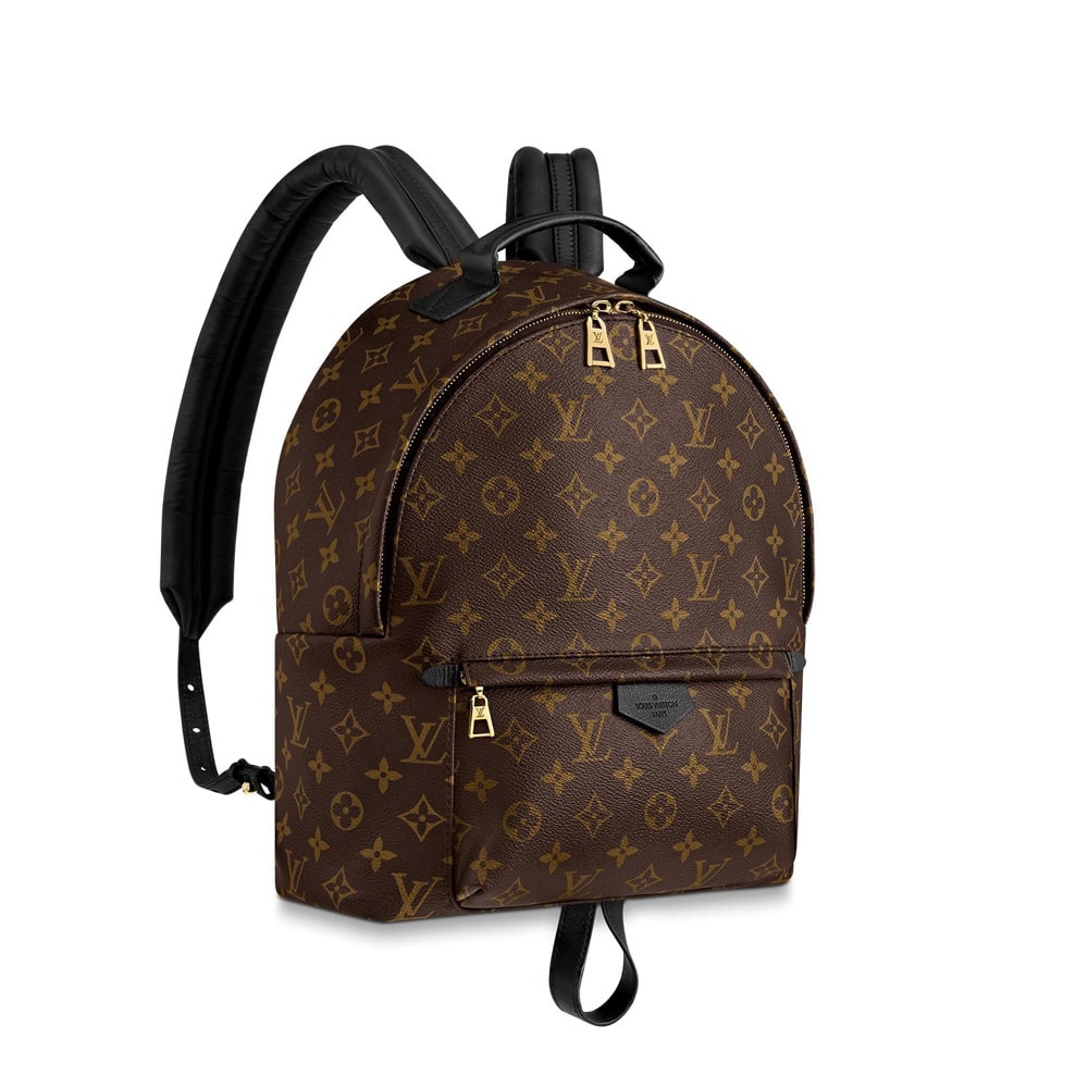 Louis Vuitton Palm Springs Mini Backpack - The Trove