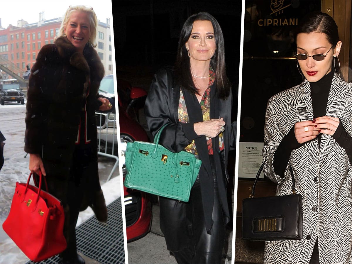 fashionhub8735 - *HERMES BIRKIN 25 CELEBRITY HANDBAG