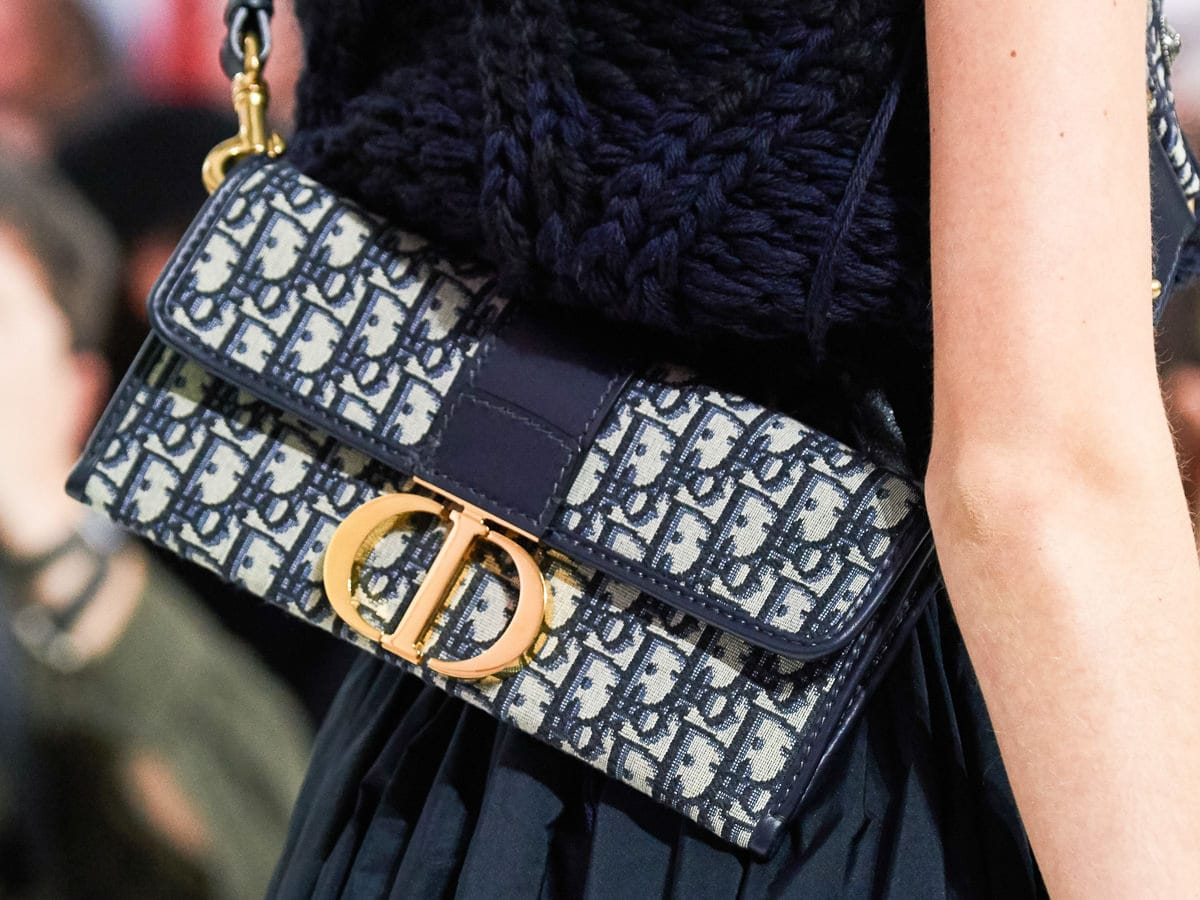 dior runway bag