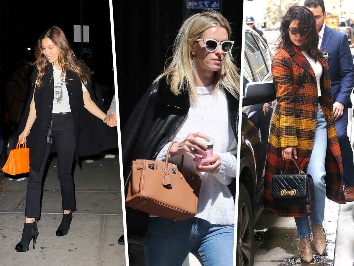 Celebrities with Goyard Bags ! 